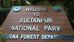 Sultanpur National Park, Gurugram.Today